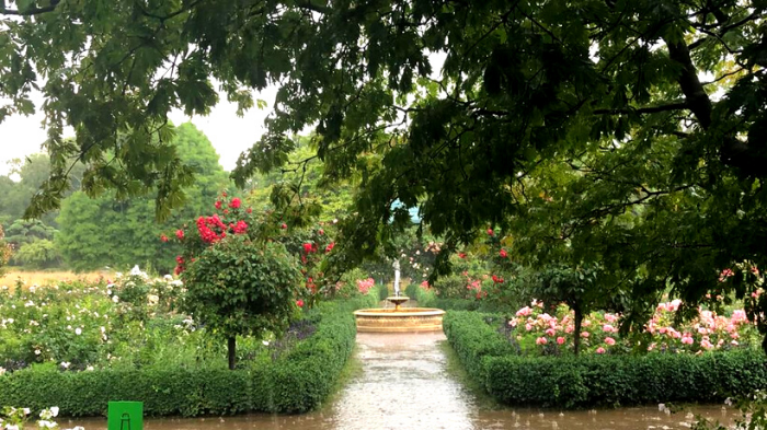 Der Garten im Regen