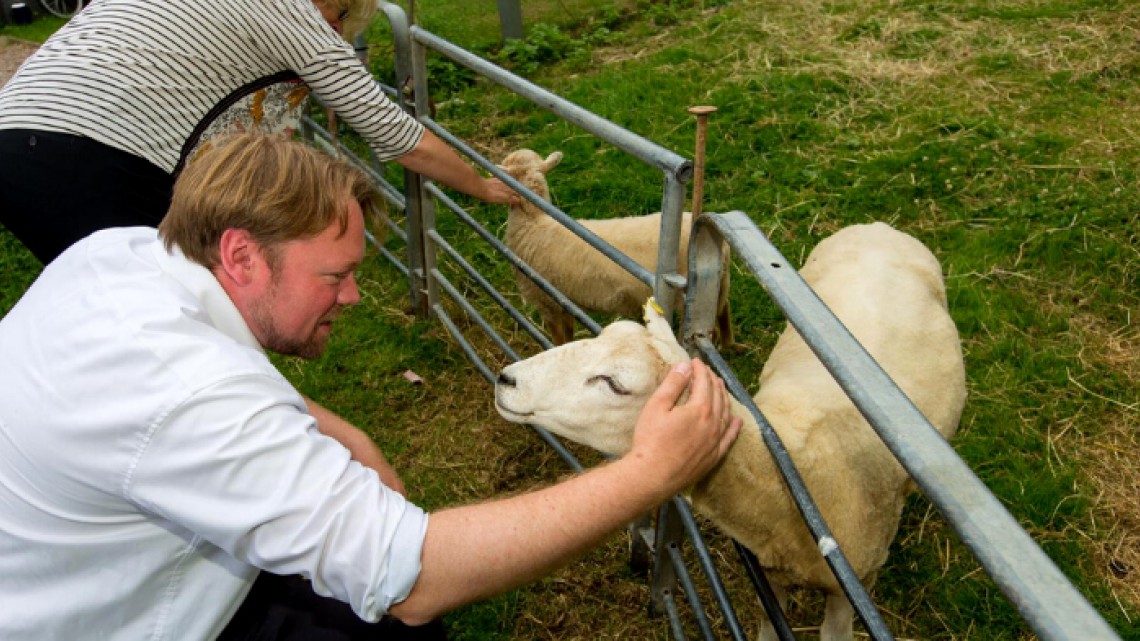 Oliver Kumbartzky streichelt ein Schaf
