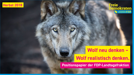Positionspapier Wolf