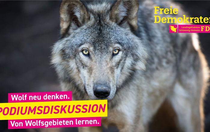 Wolf neu denken