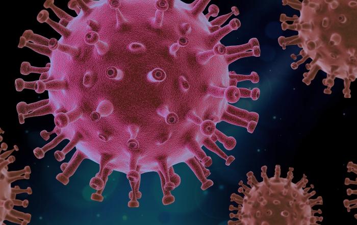 Corona Virus