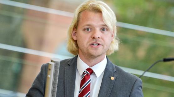 Dennys Bornhöft FDP