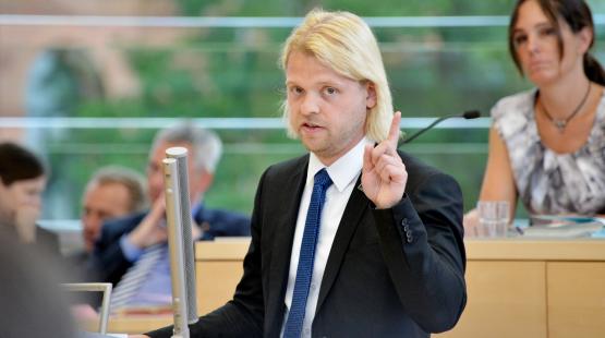 Dennys Bornhöft FDP