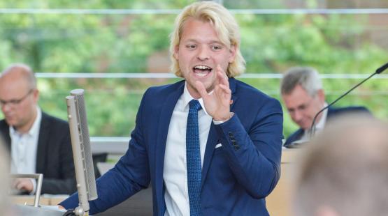 Dennys Bornhöft FDP