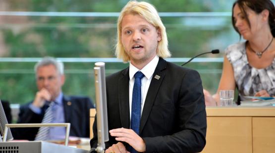 Dennys Bornhöft FDP