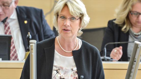 Anita Klahn FDP