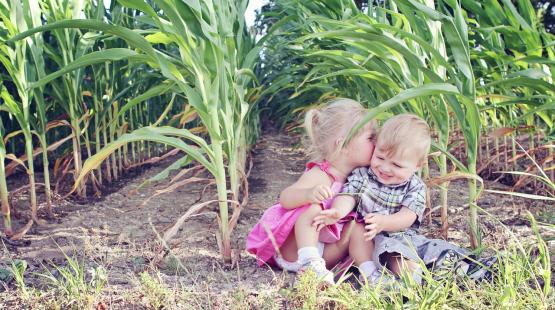 Kita Investitionsprogramm