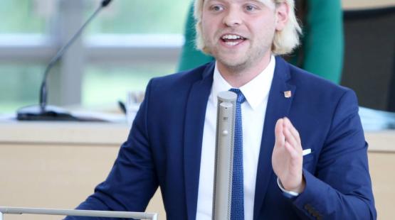 Abgeordneter Dennys Bornhöft