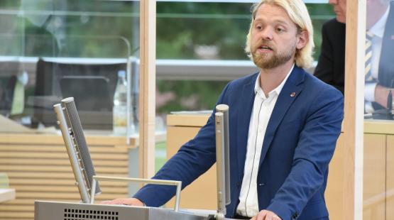 Sozialpolitischer Sprecher der FDP Fraktion im Landtag schleswig-Holstein, Dennys Bornhöft